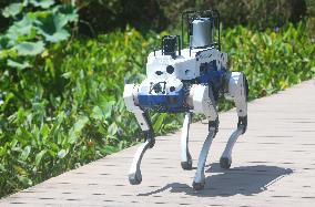 Intelligent Robot Police Dog