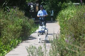Intelligent Robot Police Dog