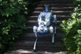 Intelligent Robot Police Dog