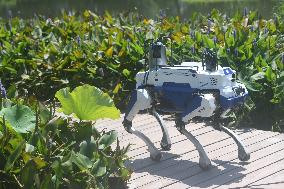 Intelligent Robot Police Dog