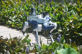 Intelligent Robot Police Dog