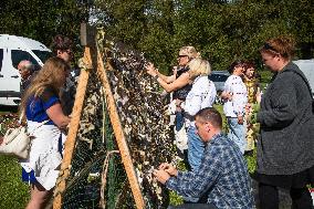 Ukraine's Independence Day