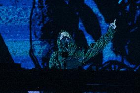 Alan Walker and Steve Aoki concert