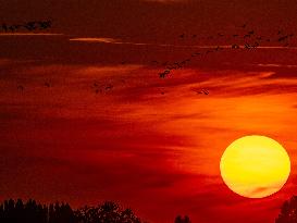 Illustration - Sunset - France