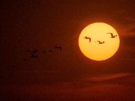 Illustration - Sunset - France