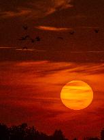 Illustration - Sunset - France