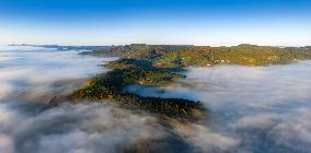 Illustration - Beaujolais