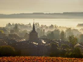 Illustration - Beaujolais