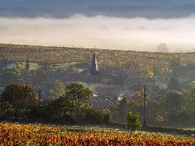 Illustration - Beaujolais