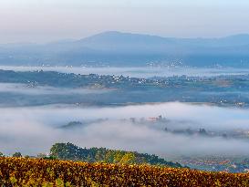Illustration - Beaujolais