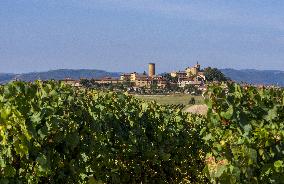 Illustration - Beaujolais