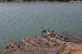 Young Iraqis Swim In The River - Erbil