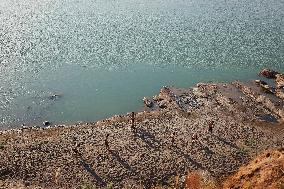 Young Iraqis Swim In The River - Erbil