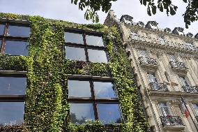 Illustration - Immobilier