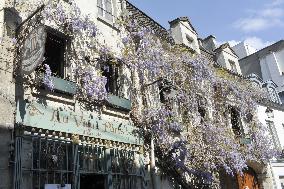 Illustration - Immobilier