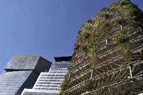 Illustration - Immobilier