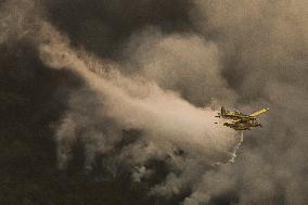 Wildfires Rage in Spain