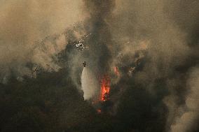 Wildfires Rage in Spain