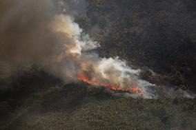 Wildfires Rage in Spain