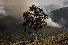Wildfires Rage in Spain