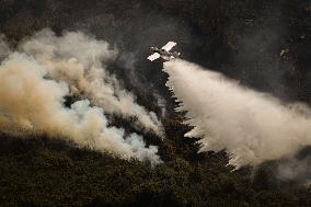 Wildfires Rage in Spain
