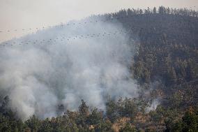 Wildfires Rage in Spain