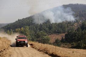 Wildfires Rage in Spain