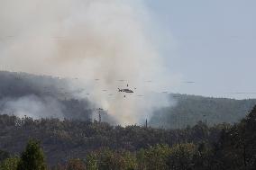 Wildfires Rage in Spain