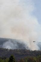 Wildfires Rage in Spain