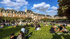 Illustration - Immobilier