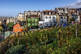 Illustration - Immobilier