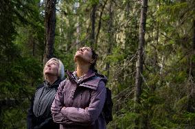 CROWN PRINCESS IN BJÖRNLANDETA NATURE RESERVE