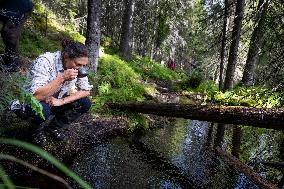 CROWN PRINCESS IN BJÖRNLANDETA NATURE RESERVE