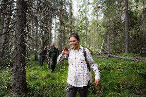 CROWN PRINCESS IN BJÖRNLANDETA NATURE RESERVE