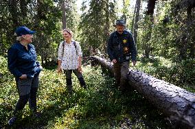 CROWN PRINCESS IN BJÖRNLANDETA NATURE RESERVE