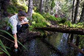 CROWN PRINCESS IN BJÖRNLANDETA NATURE RESERVE