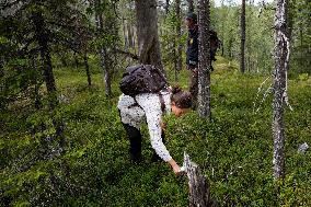 CROWN PRINCESS IN BJÖRNLANDETA NATURE RESERVE