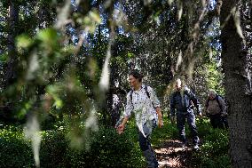 CROWN PRINCESS IN BJÖRNLANDETA NATURE RESERVE