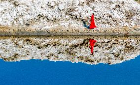 Mangnai Naoer Salt Lake in Ordos