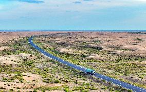 Kubuqi Desert Ecology
