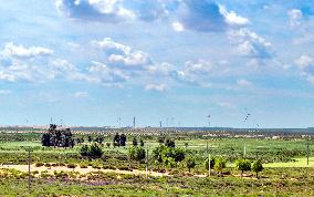 Kubuqi Desert Ecology