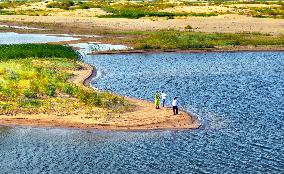 Kubuqi Desert Ecology