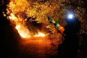 Situation 2 Declared For Fire - Lugo