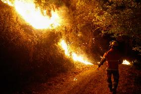 Situation 2 Declared For Fire - Lugo