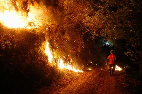 Situation 2 Declared For Fire - Lugo