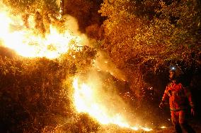 Situation 2 Declared For Fire - Lugo