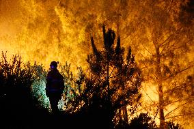 Situation 2 Declared For Fire - Lugo
