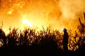 Situation 2 Declared For Fire - Lugo