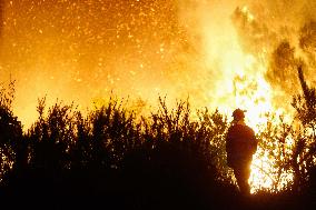 Situation 2 Declared For Fire - Lugo