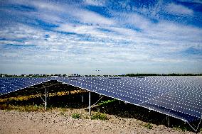 Illustration - Solar Park at Schiphol - Amsterdam